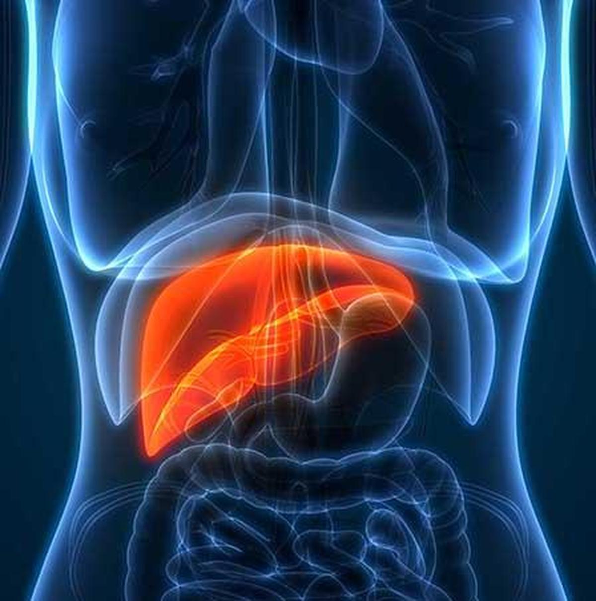 What your ALT level can reveal about liver health