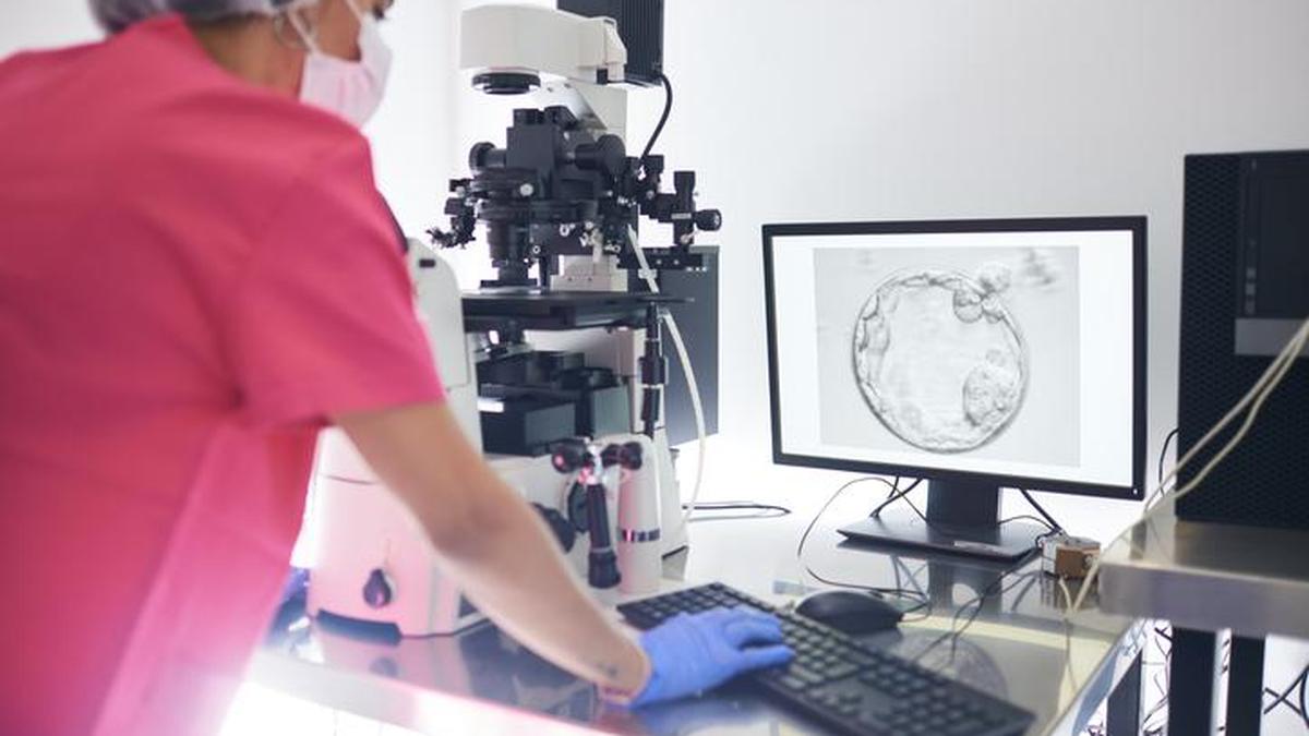 There are many misconceptions about women’s reproductive health: here’s what you need to know about egg reserve, fertility and ovarian ageing