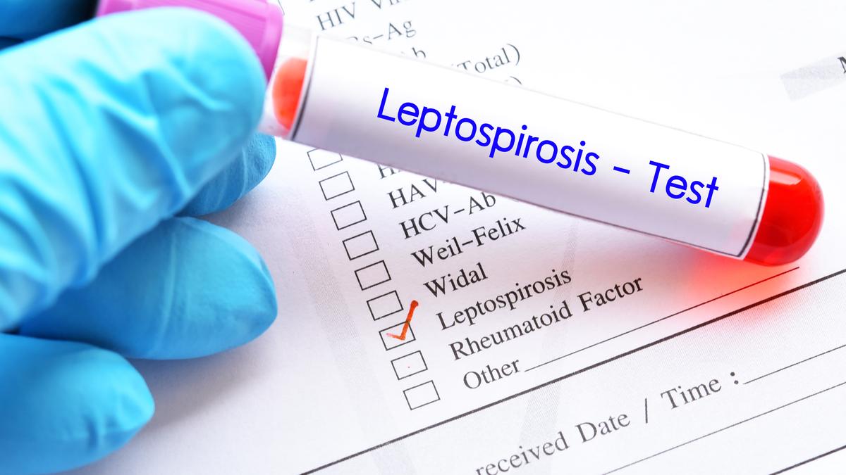 Why is Kerala facing high leptospirosis mortality? | Explained